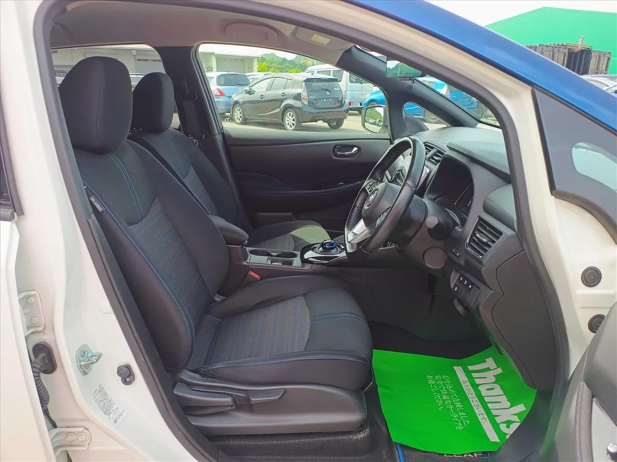 2021 Nissan Leaf e+ X (62kWh), photo 6