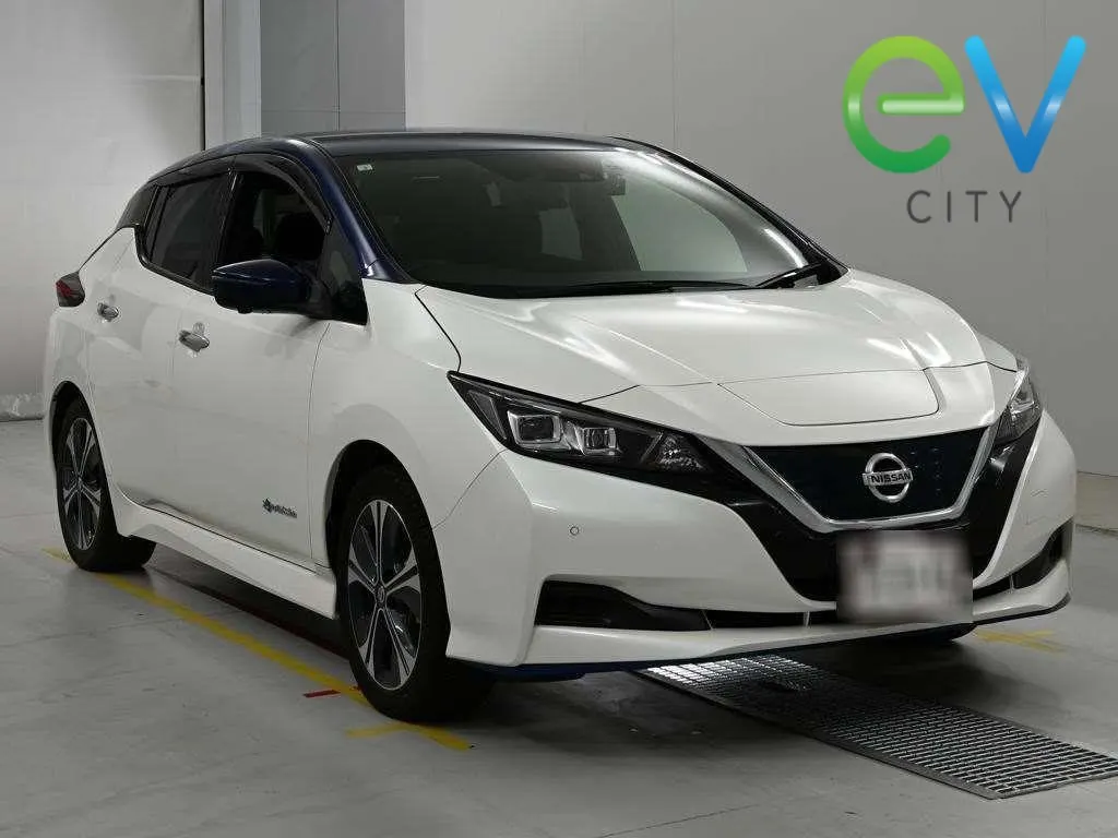 2021 Nissan Leaf e+ X (62kWh) With Pro Pilot & 360 Camera, photo 5