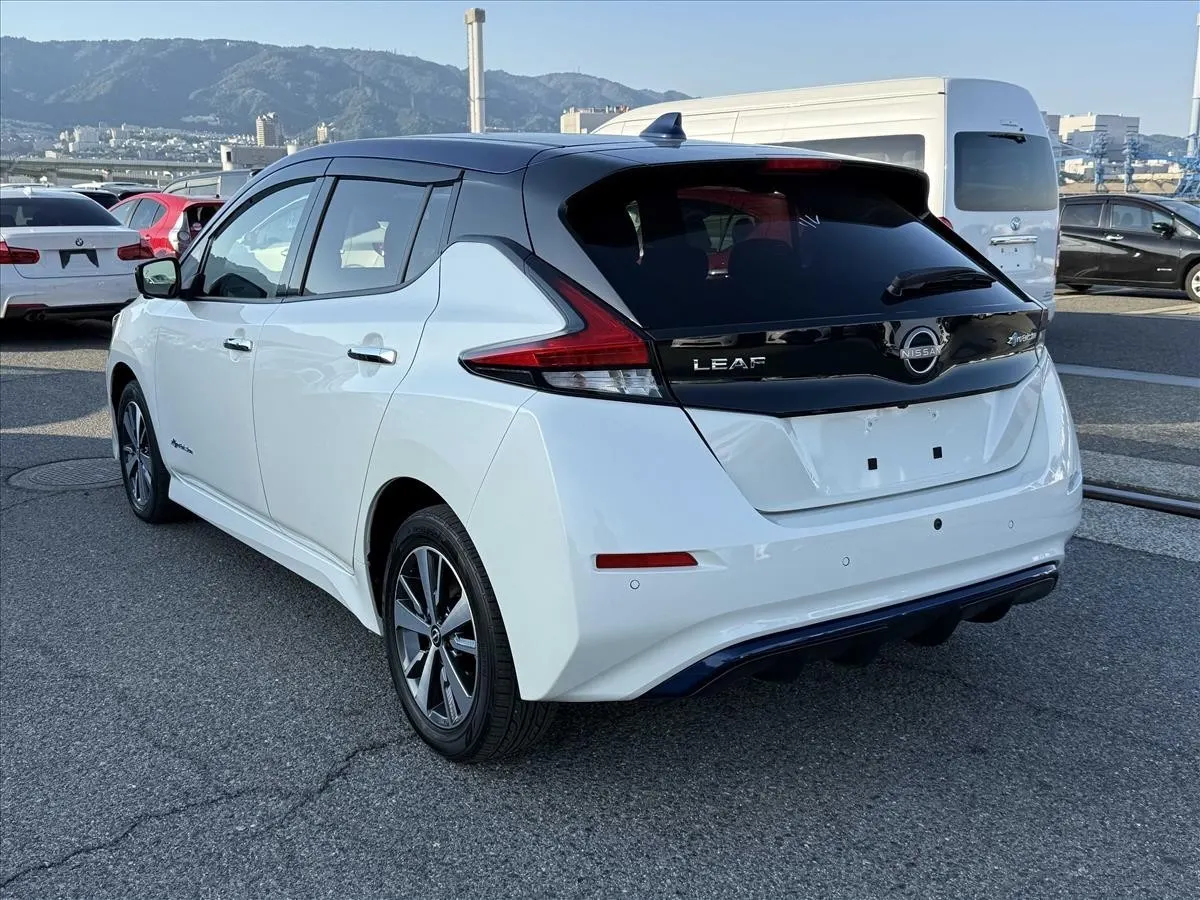 2021 Nissan Leaf e+ X (62kWh) — photo 4