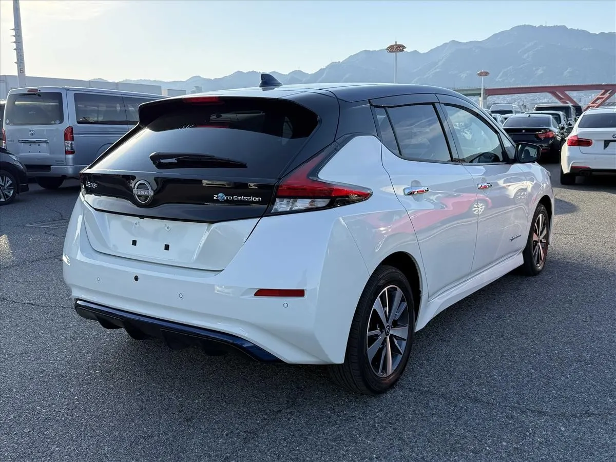 2021 Nissan Leaf e+ X (62kWh) — photo 2