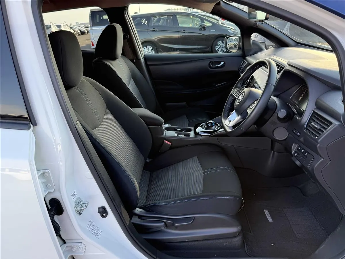 2021 Nissan Leaf e+ X (62kWh) — photo 6