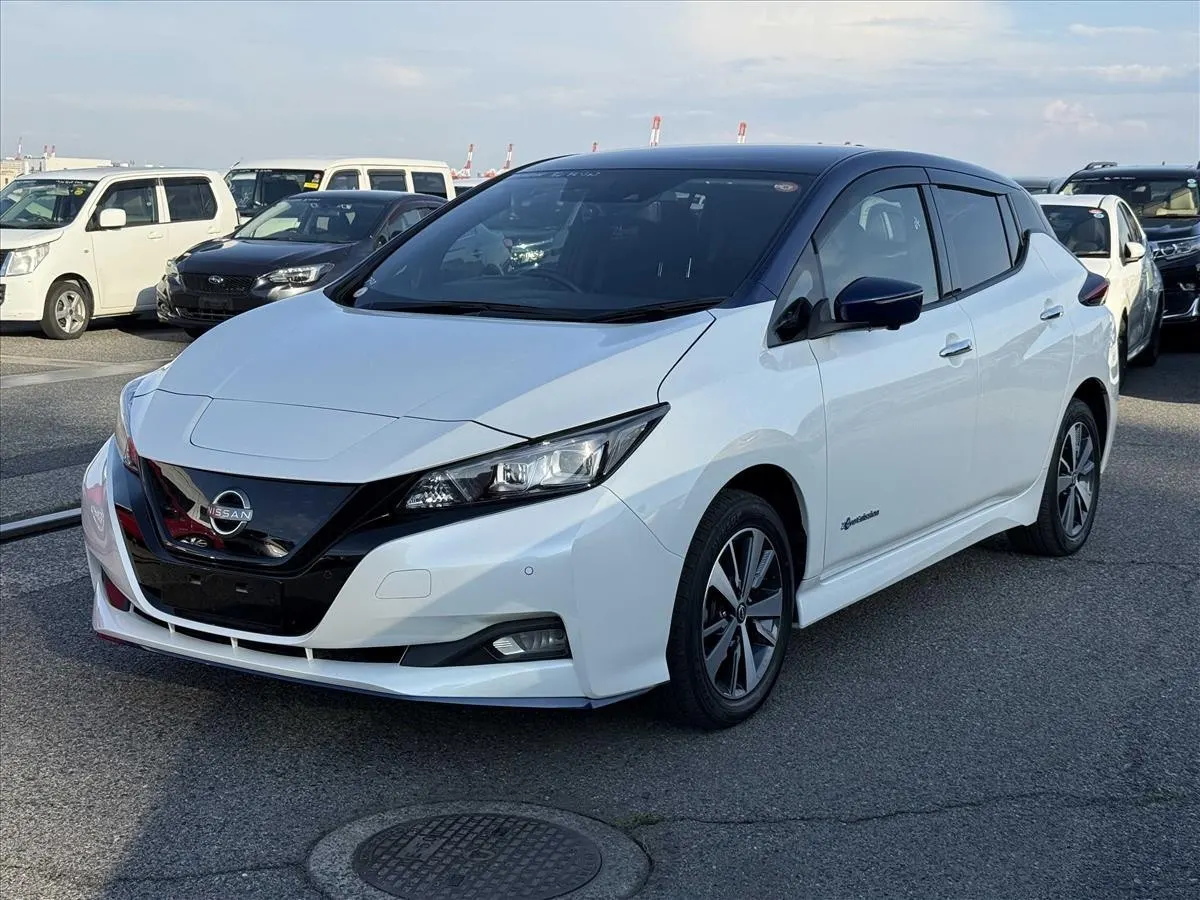 2021 Nissan Leaf e+ X (62kWh) — photo 3