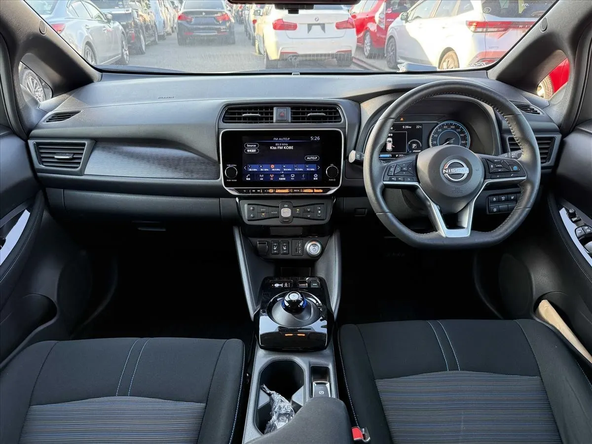 2021 Nissan Leaf e+ X (62kWh) — photo 8