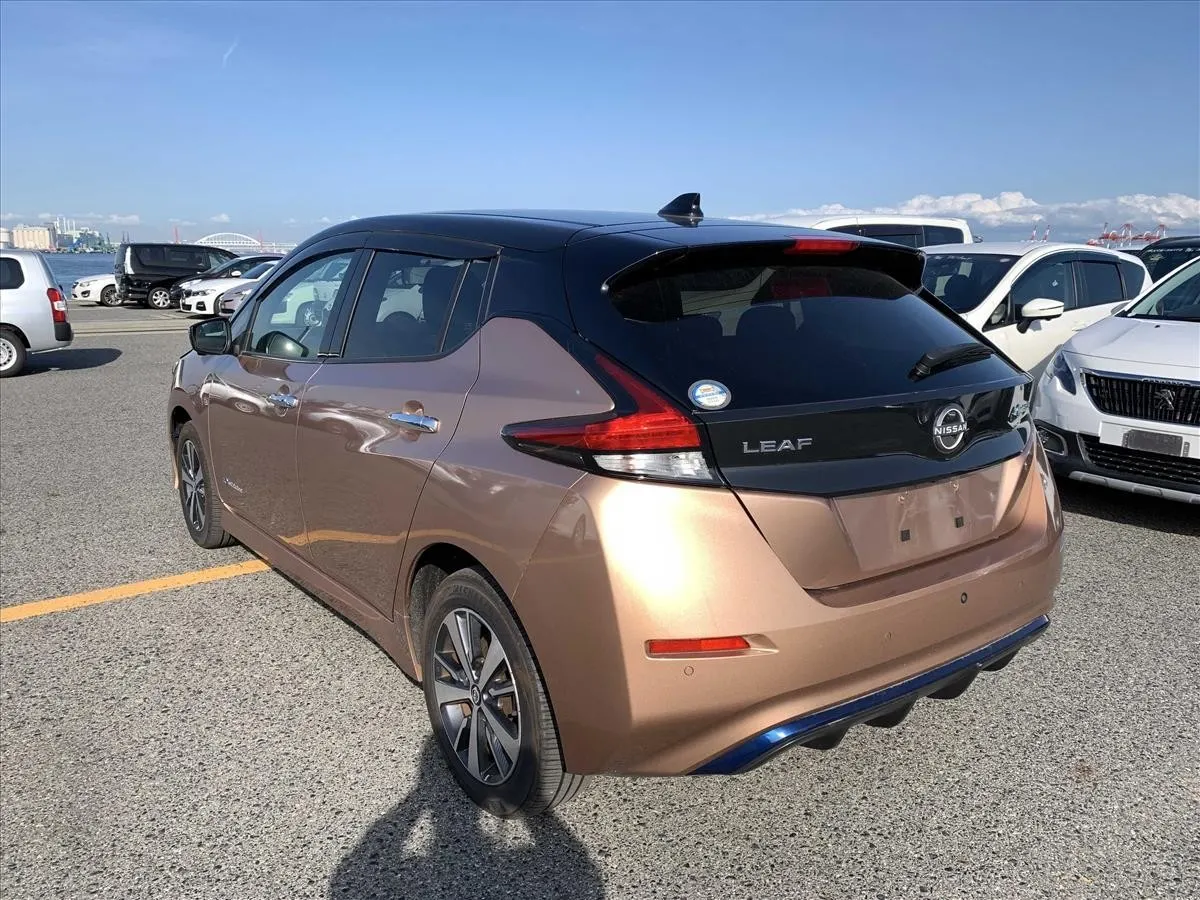 2022 Nissan Leaf e+ X (62kWh) — photo 4