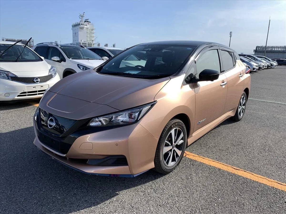 2022 Nissan Leaf e+ X (62kWh) — photo 3