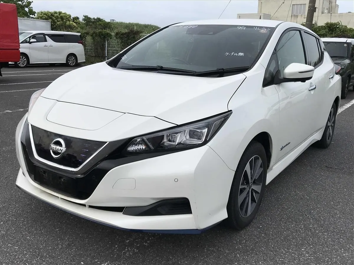 2019 Nissan Leaf e+ X (62kWh) — photo 3