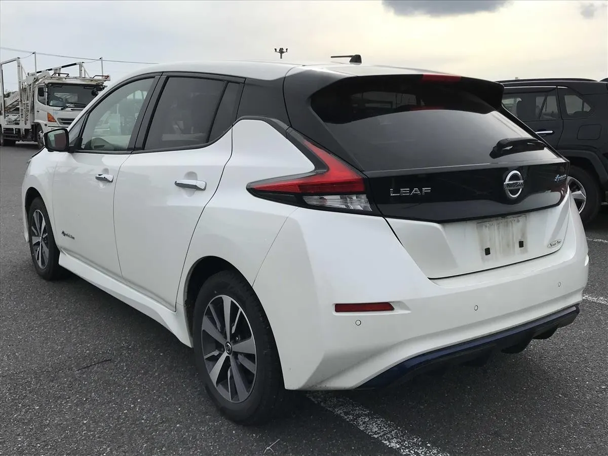 2019 Nissan Leaf e+ X (62kWh) — photo 4