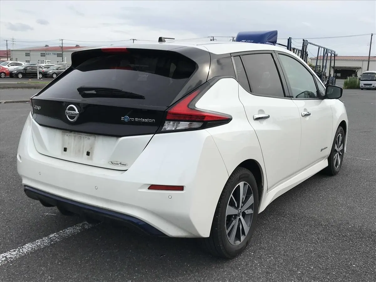 2019 Nissan Leaf e+ X (62kWh) — photo 2