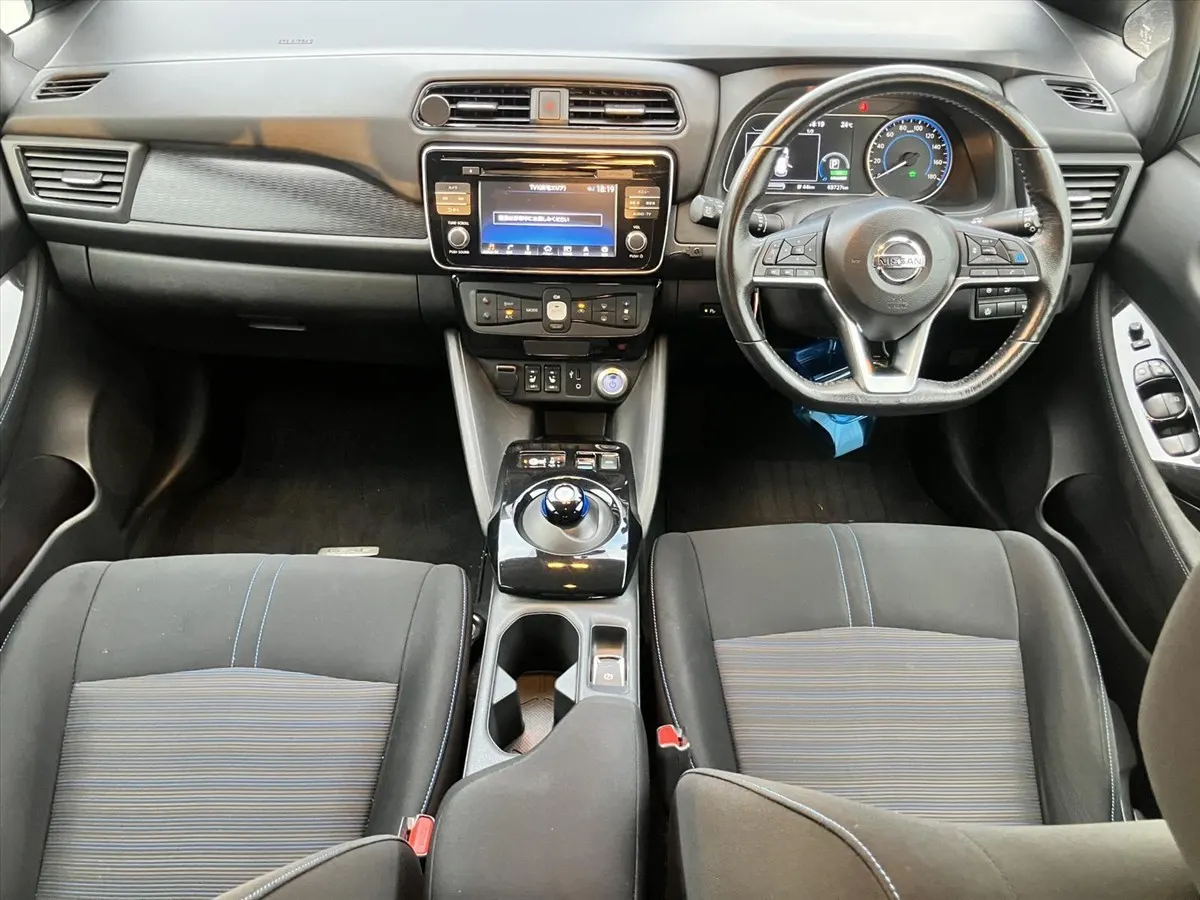 2019 Nissan Leaf e+ X (62kWh) — photo 8