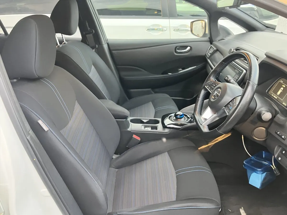 2019 Nissan Leaf e+ X (62kWh) — photo 6