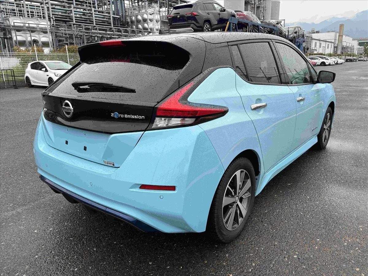 2019 Nissan Leaf e+ X (62kWh) — photo 2