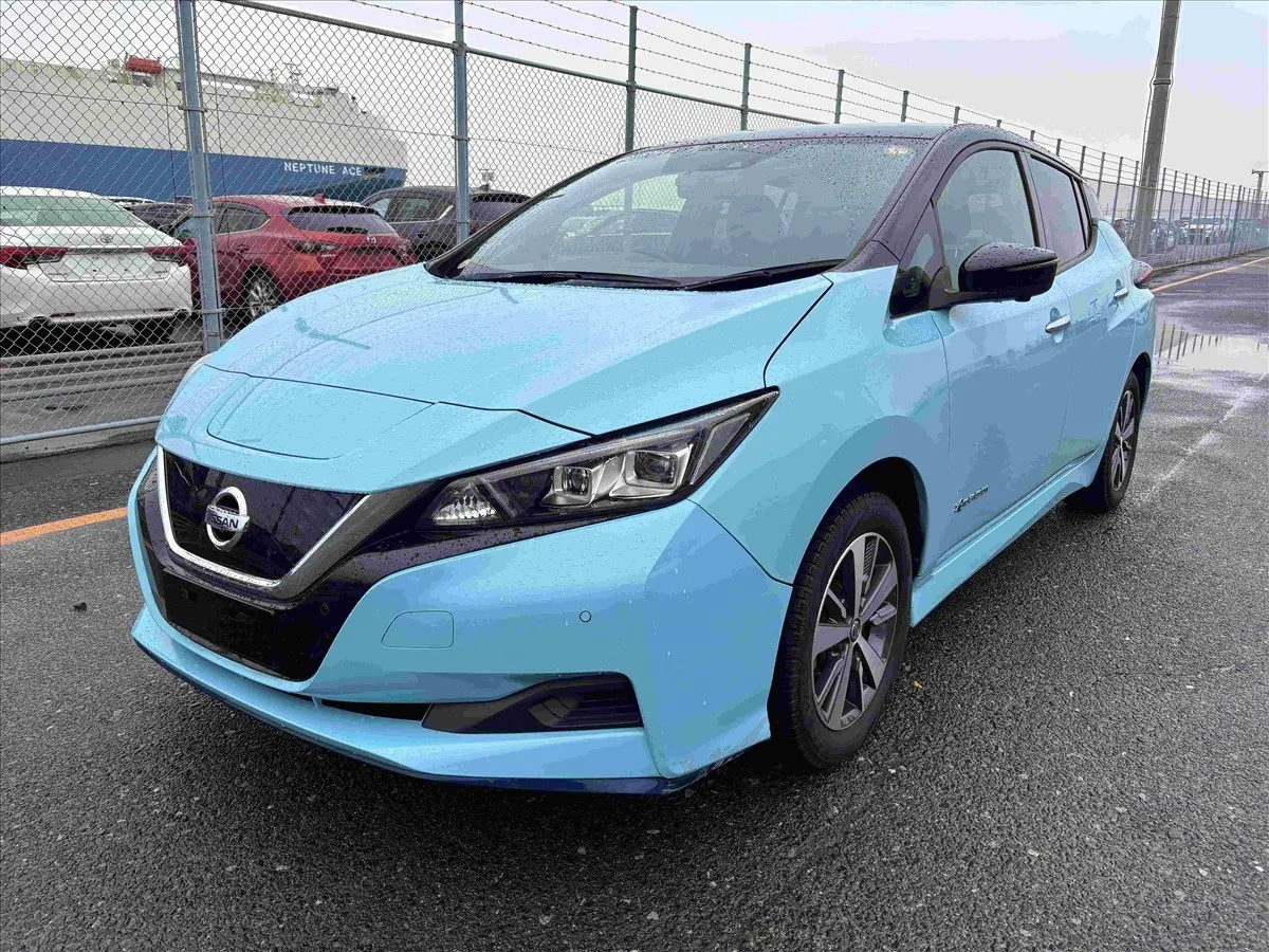 2019 Nissan Leaf e+ X (62kWh) — photo 3