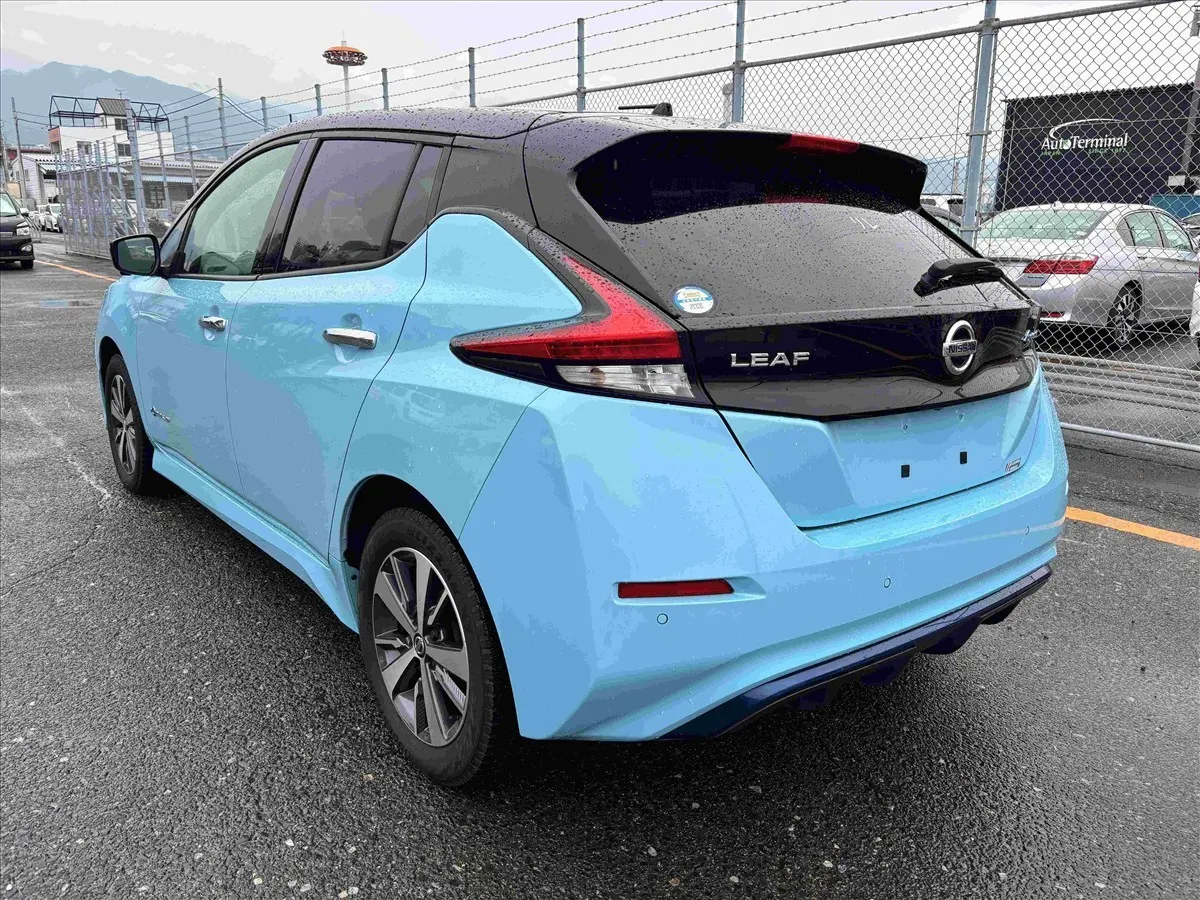 2019 Nissan Leaf e+ X (62kWh) — photo 4