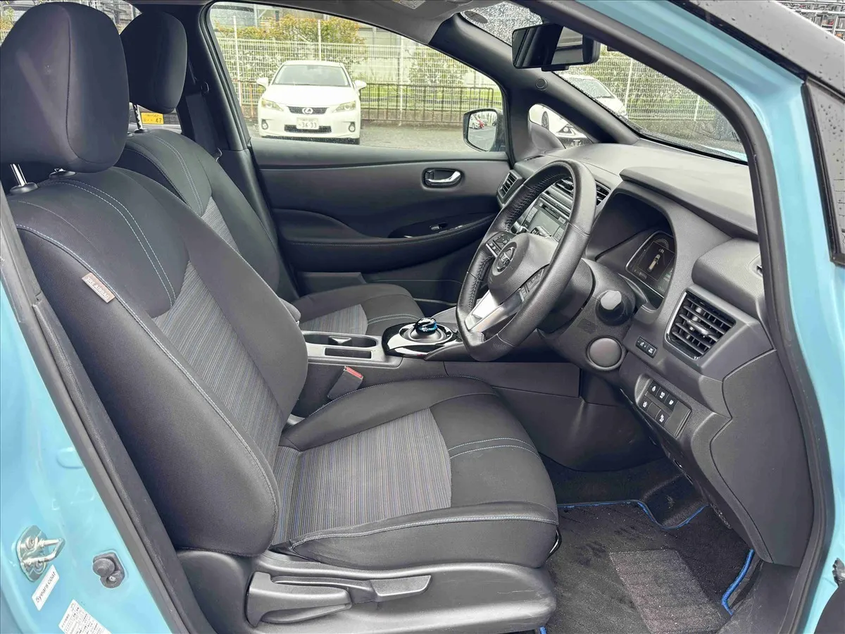 2019 Nissan Leaf e+ X (62kWh) — photo 6