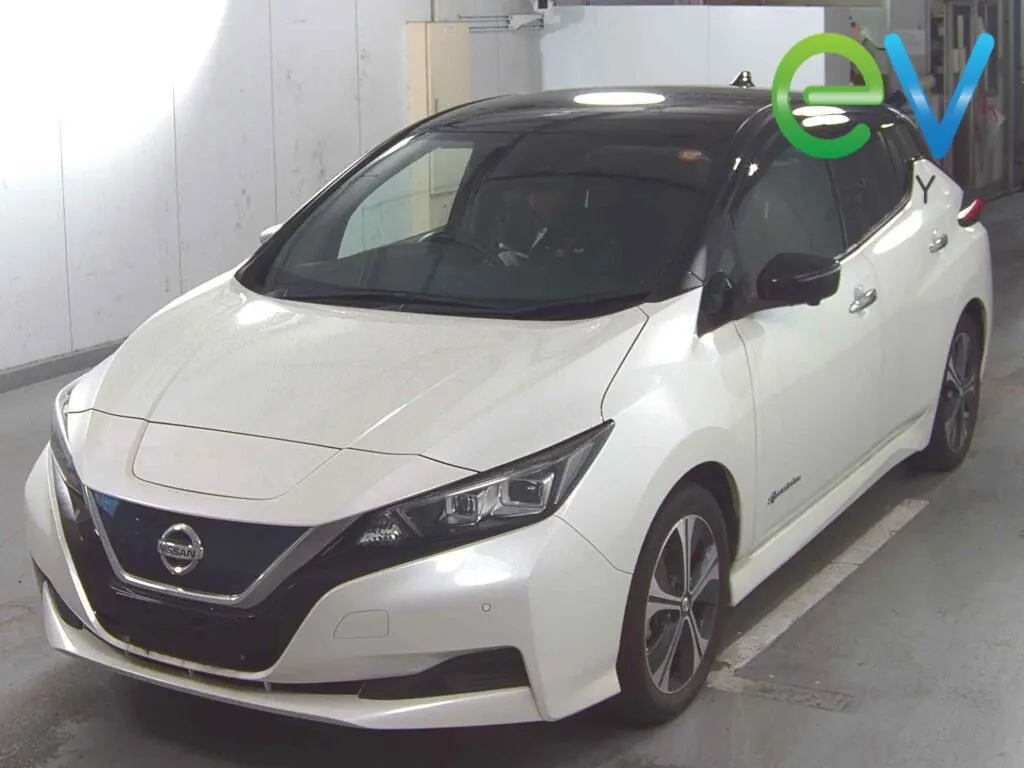 2020 Nissan Leaf X (40kWh) — photo 4