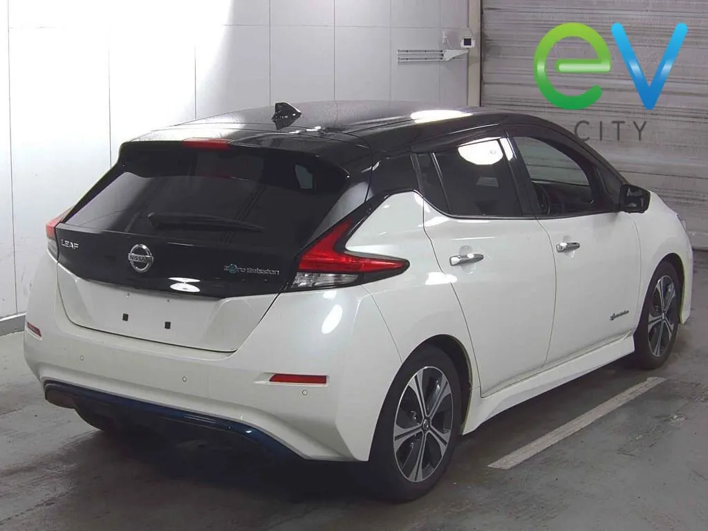 2020 Nissan Leaf X (40kWh) — photo 2