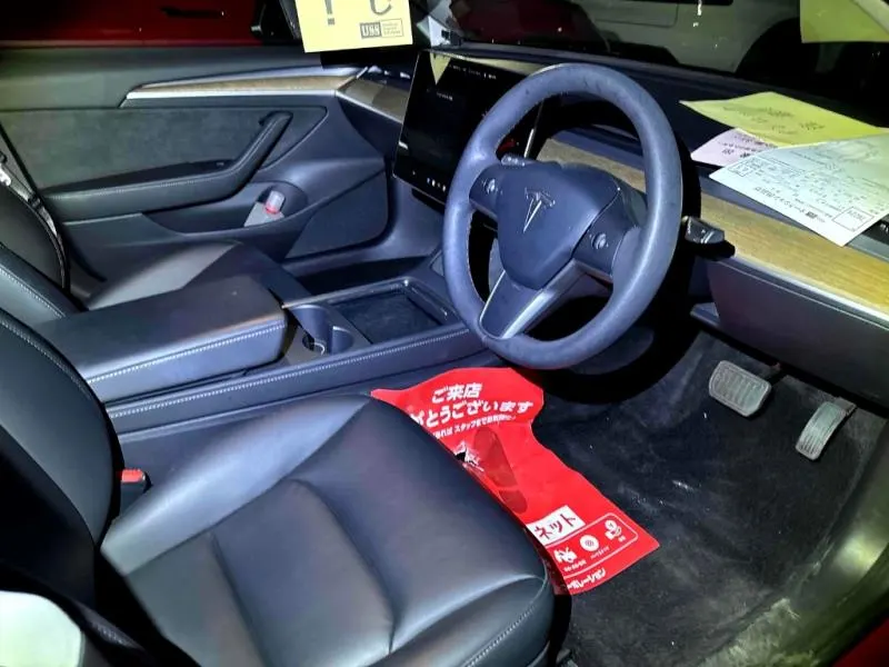 2021 Tesla Model 3 SR+ (55kWh) — photo 4