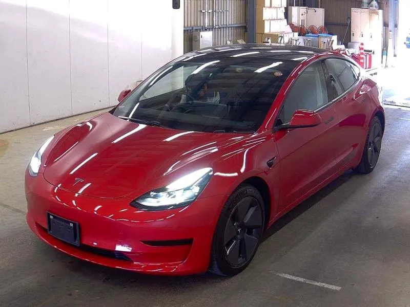 2021 Tesla Model 3 SR+ (55kWh) — photo 3