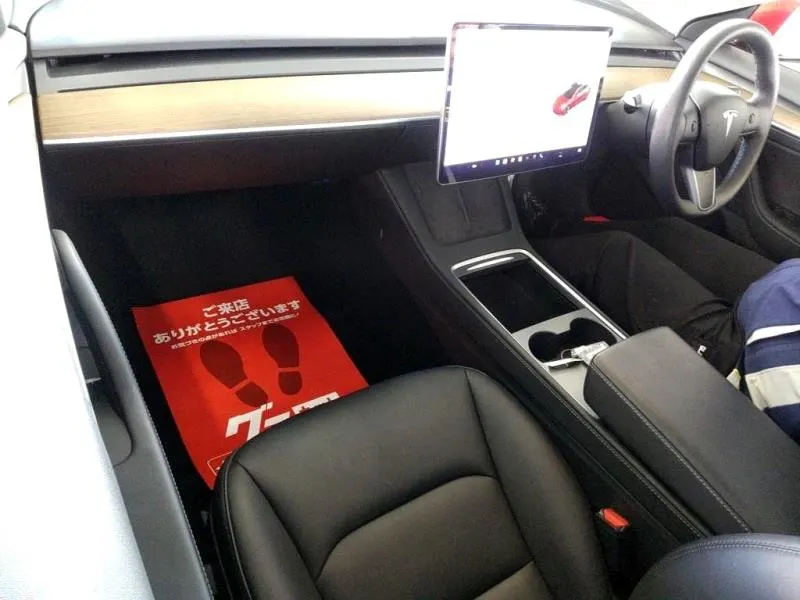 2021 Tesla Model 3 SR+ (55kWh) — photo 5