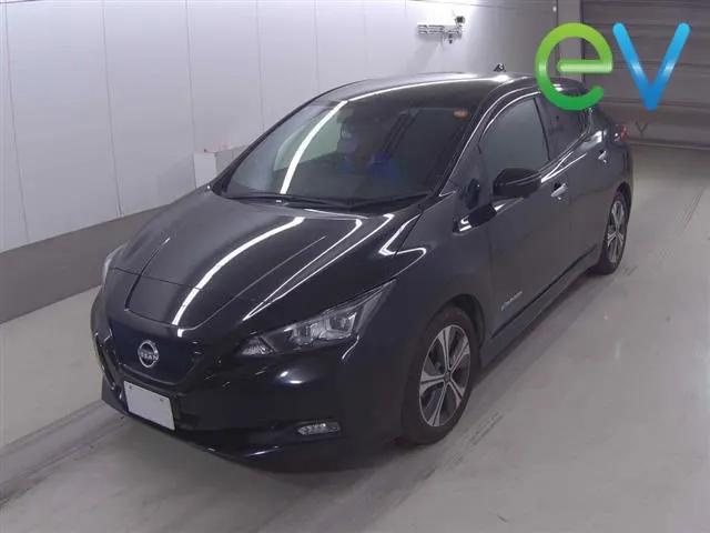 2021 Nissan Leaf X (40kWh) — photo 4
