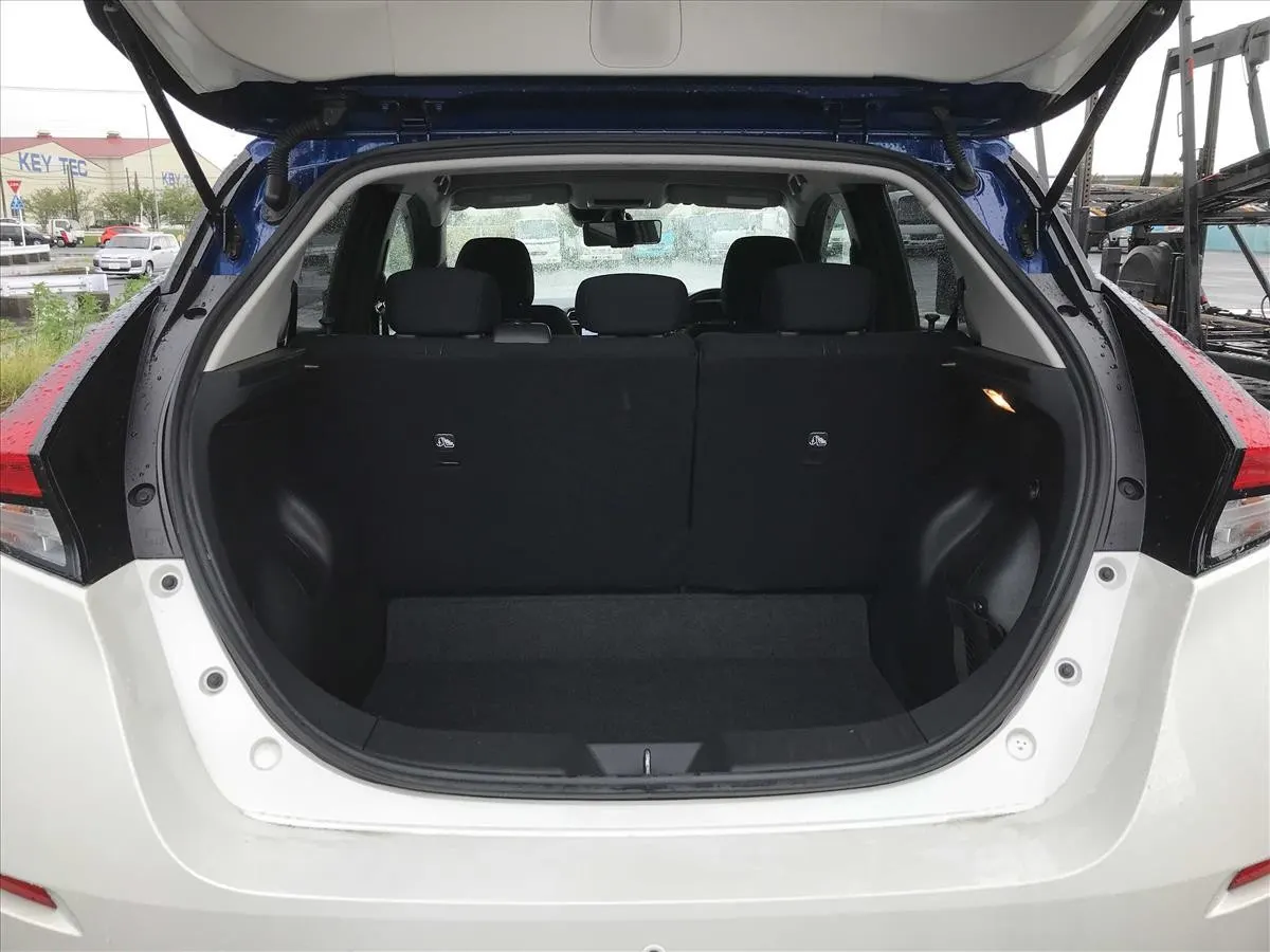 2022 Nissan Leaf e+ Urban Chrome (62kWh), photo 3