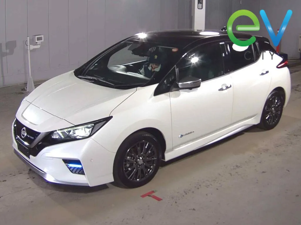 2021 Nissan Leaf e+ Autech (62kWh) — photo 4