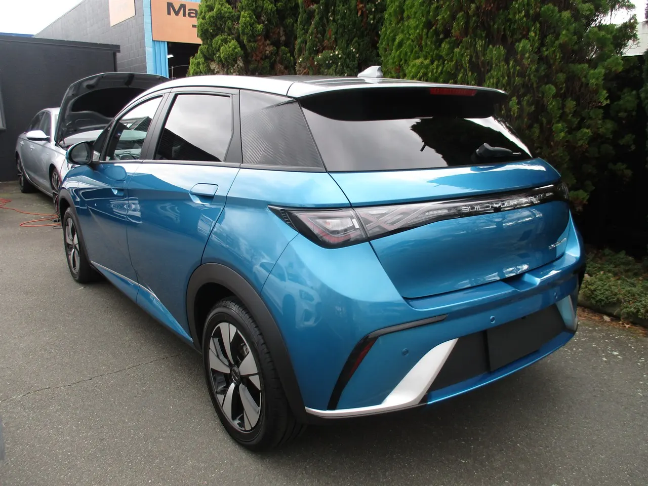 2024 BYD Dolphin Premium Extended Range (60kWh) — photo 4
