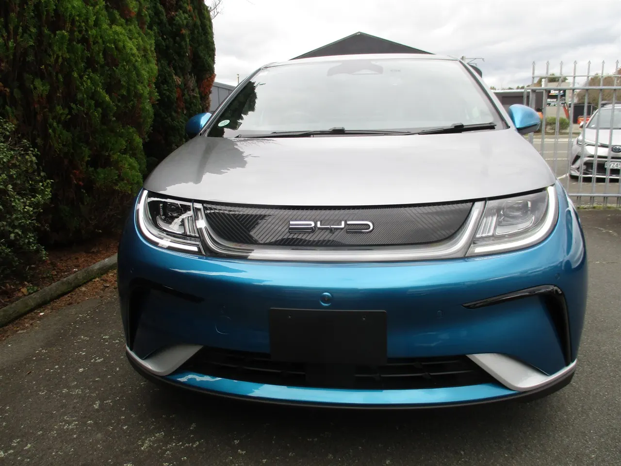 2024 BYD Dolphin Premium Extended Range (60kWh) — photo 2