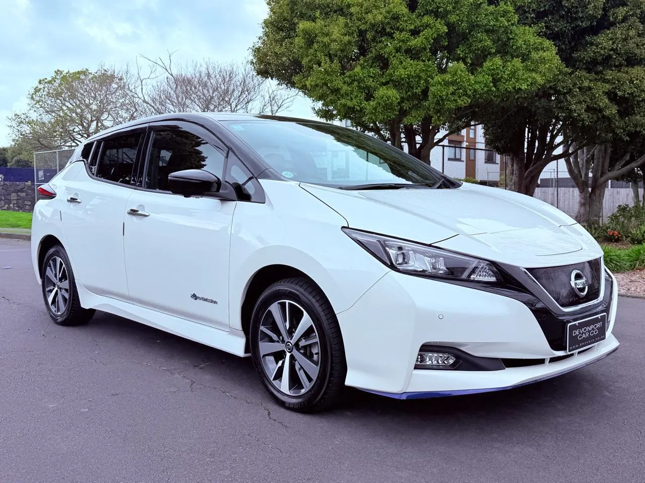 2021 Nissan Leaf e+ X (62kWh) — photo 3