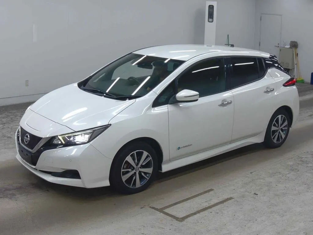 2019 Nissan Leaf 40X (40kWh) — photo 2