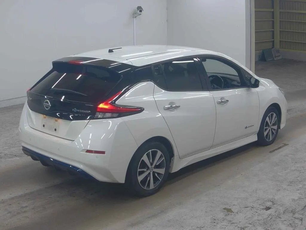2019 Nissan Leaf 40X (40kWh) — photo 4
