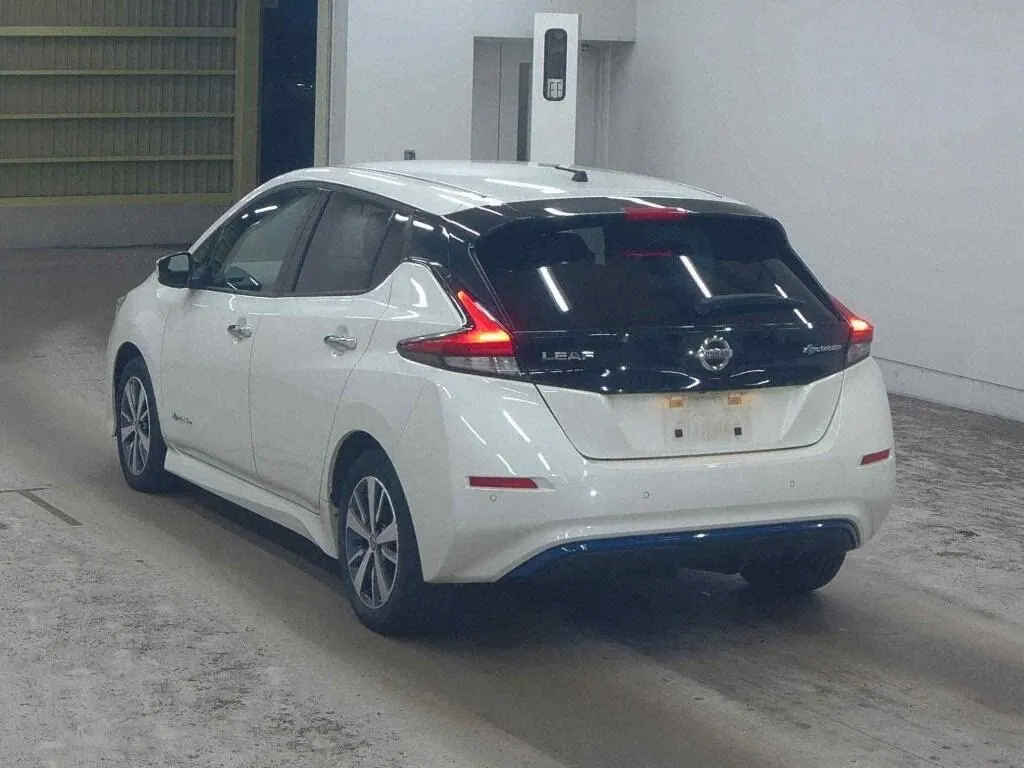 2019 Nissan Leaf 40X (40kWh) — photo 3