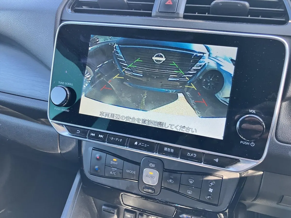 2020 Nissan Leaf e+ Autech (62kWh) — photo 6