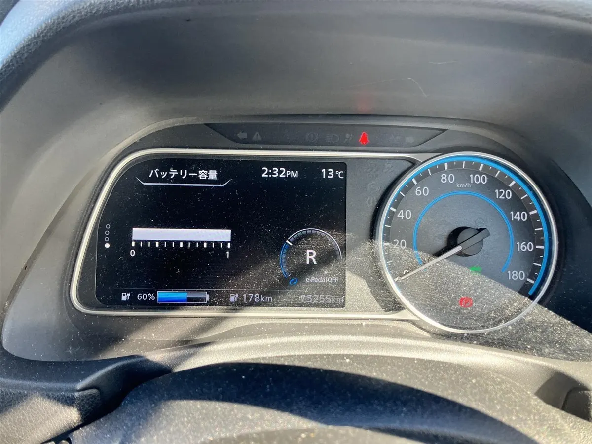 2020 Nissan Leaf e+ Autech (62kWh) — photo 5