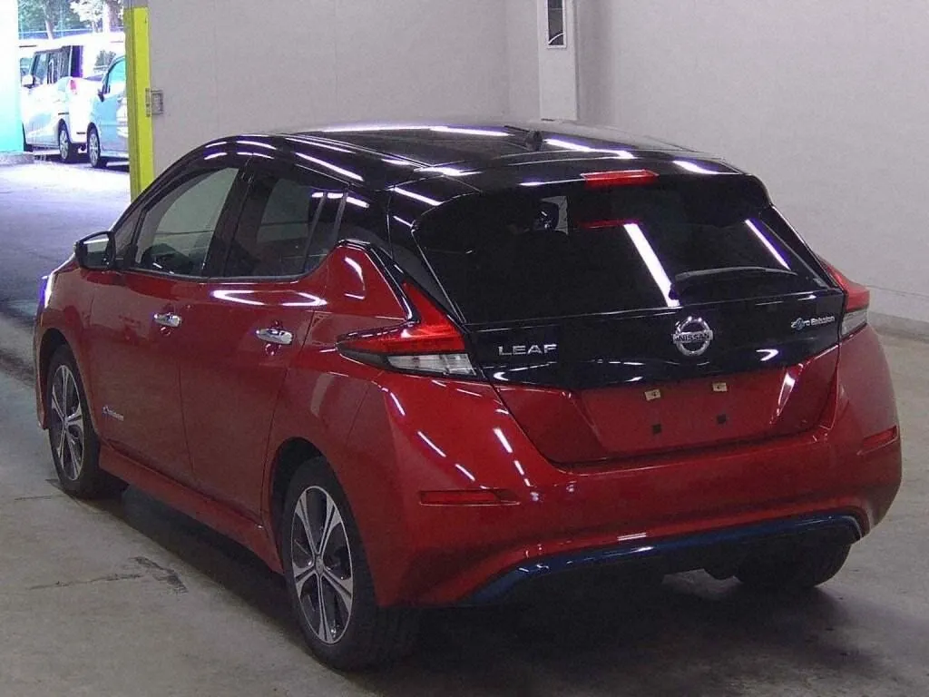 2019 Nissan Leaf e+ G (62kWh) — photo 4