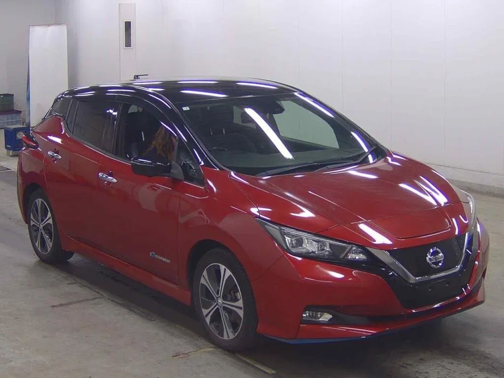 2019 Nissan Leaf e+ G (62kWh) — photo 2
