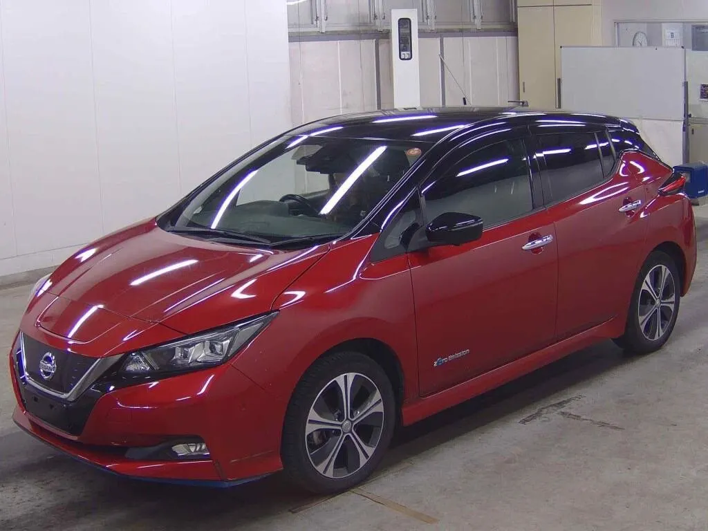 2019 Nissan Leaf e+ G (62kWh) — photo 3
