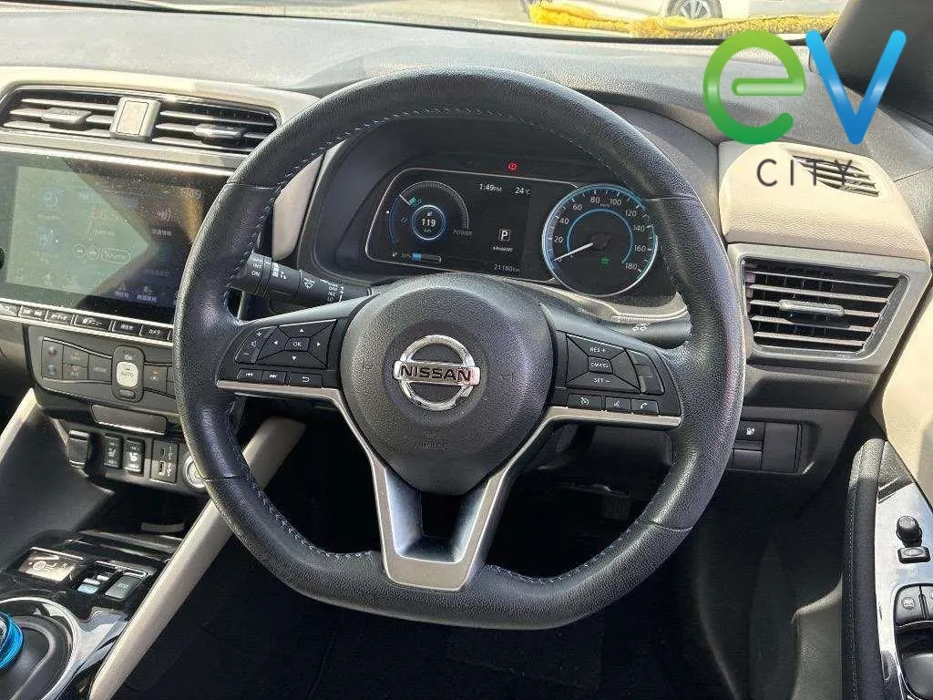 2020 Nissan Leaf e+ X (62kWh) — photo 8