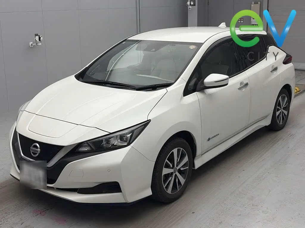 2020 Nissan Leaf e+ X (62kWh) — photo 5