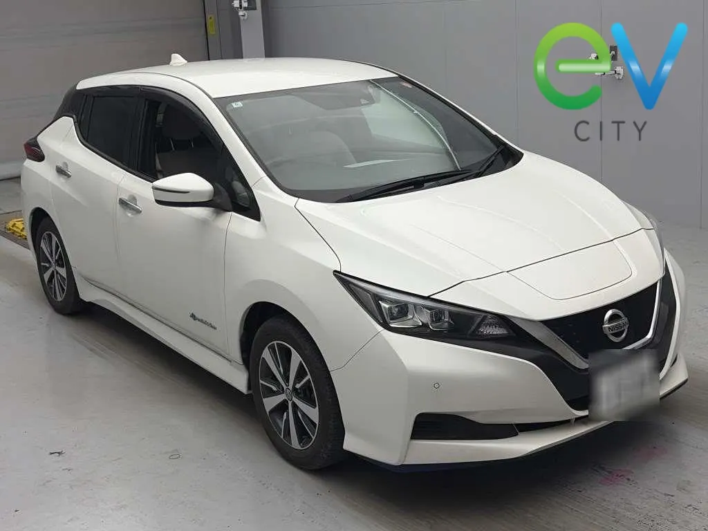 2020 Nissan Leaf e+ X (62kWh) — photo 6
