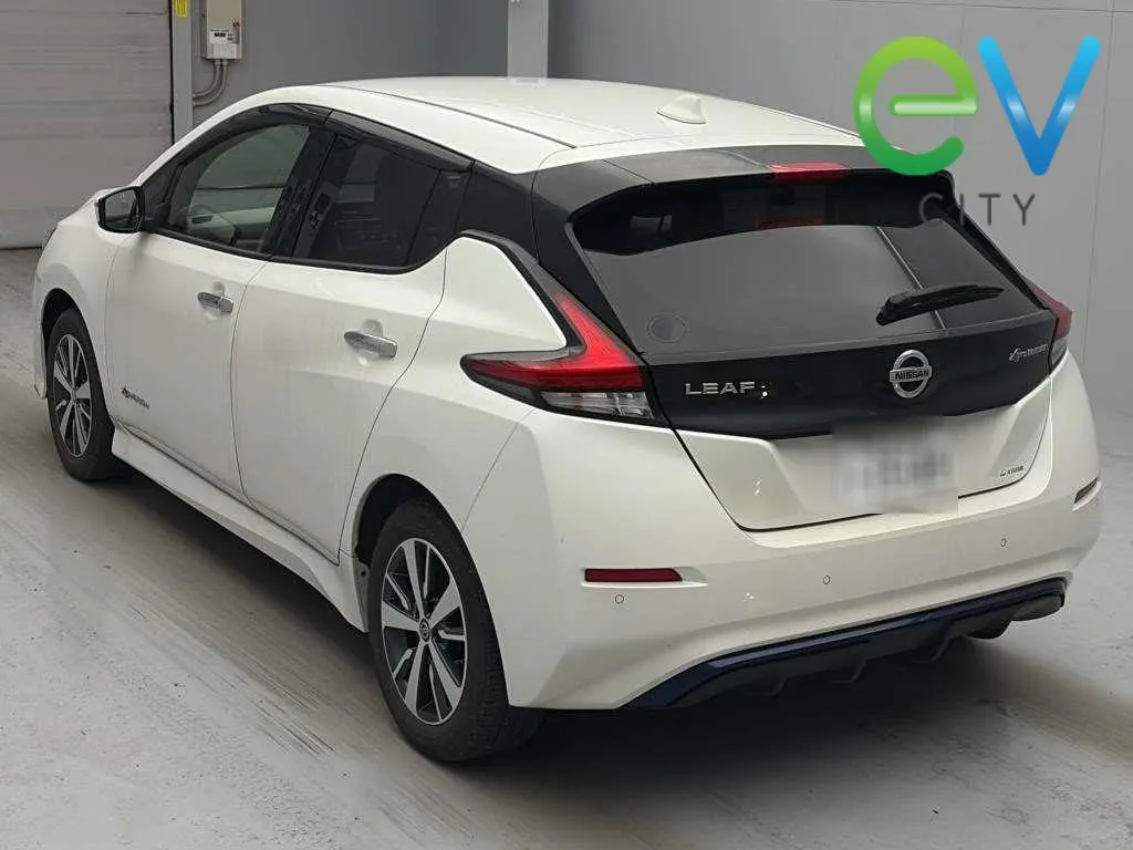 2020 Nissan Leaf e+ X (62kWh) — photo 7