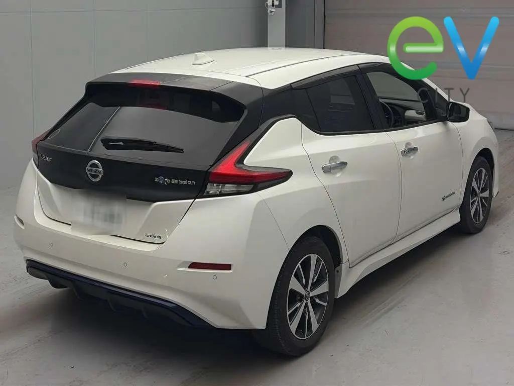 2020 Nissan Leaf e+ X (62kWh) — photo 2