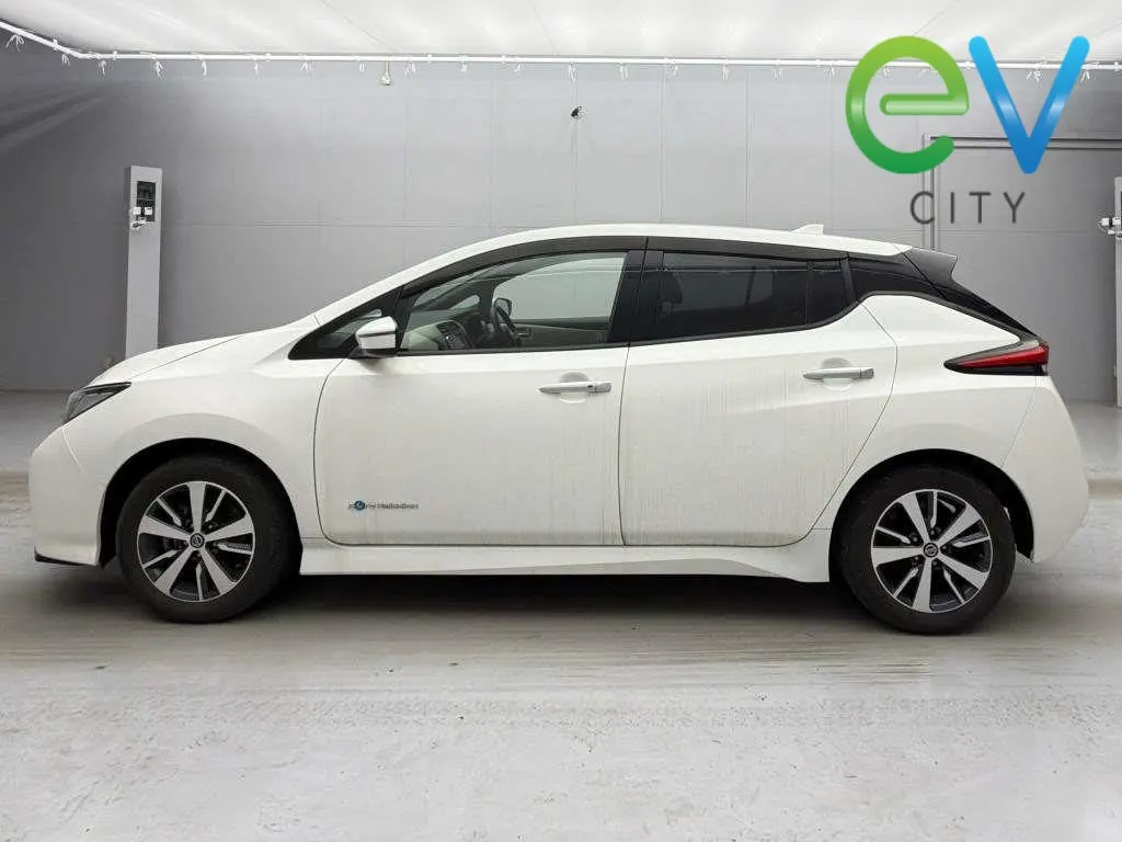 2020 Nissan Leaf e+ X (62kWh) — photo 4