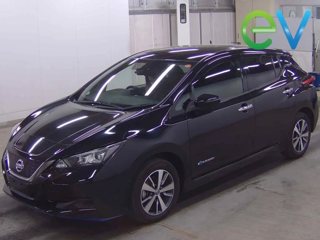 2019 Nissan Leaf e+ X (62kWh) — photo 4