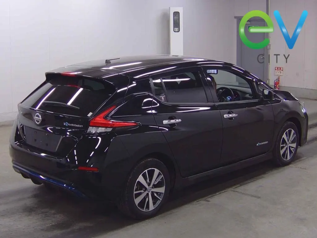 2019 Nissan Leaf e+ X (62kWh) — photo 2