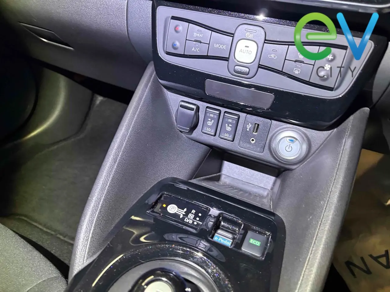 2019 Nissan Leaf e+ X (62kWh) — photo 9