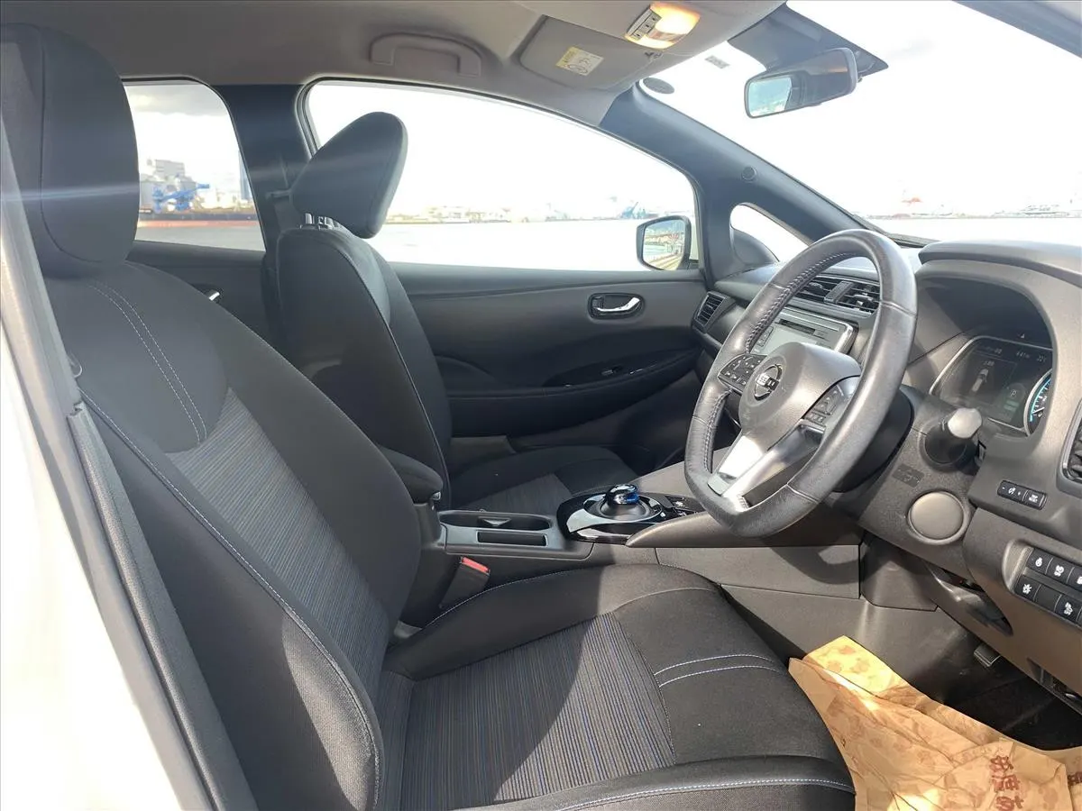 2019 Nissan Leaf X (40kWh) — photo 6