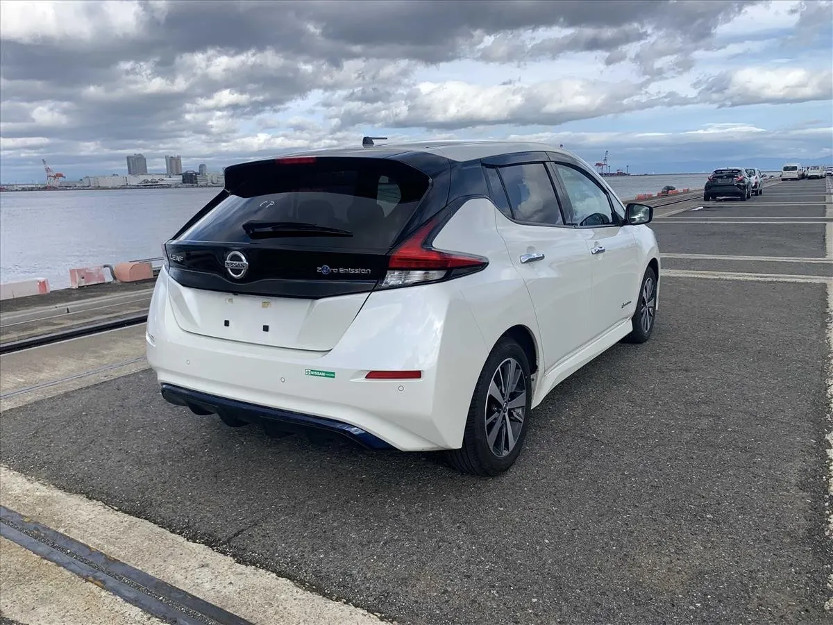 2019 Nissan Leaf X (40kWh) — photo 2