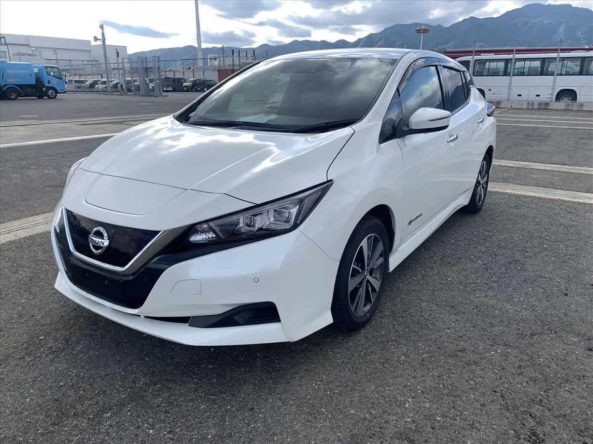 2019 Nissan Leaf X (40kWh) — photo 3