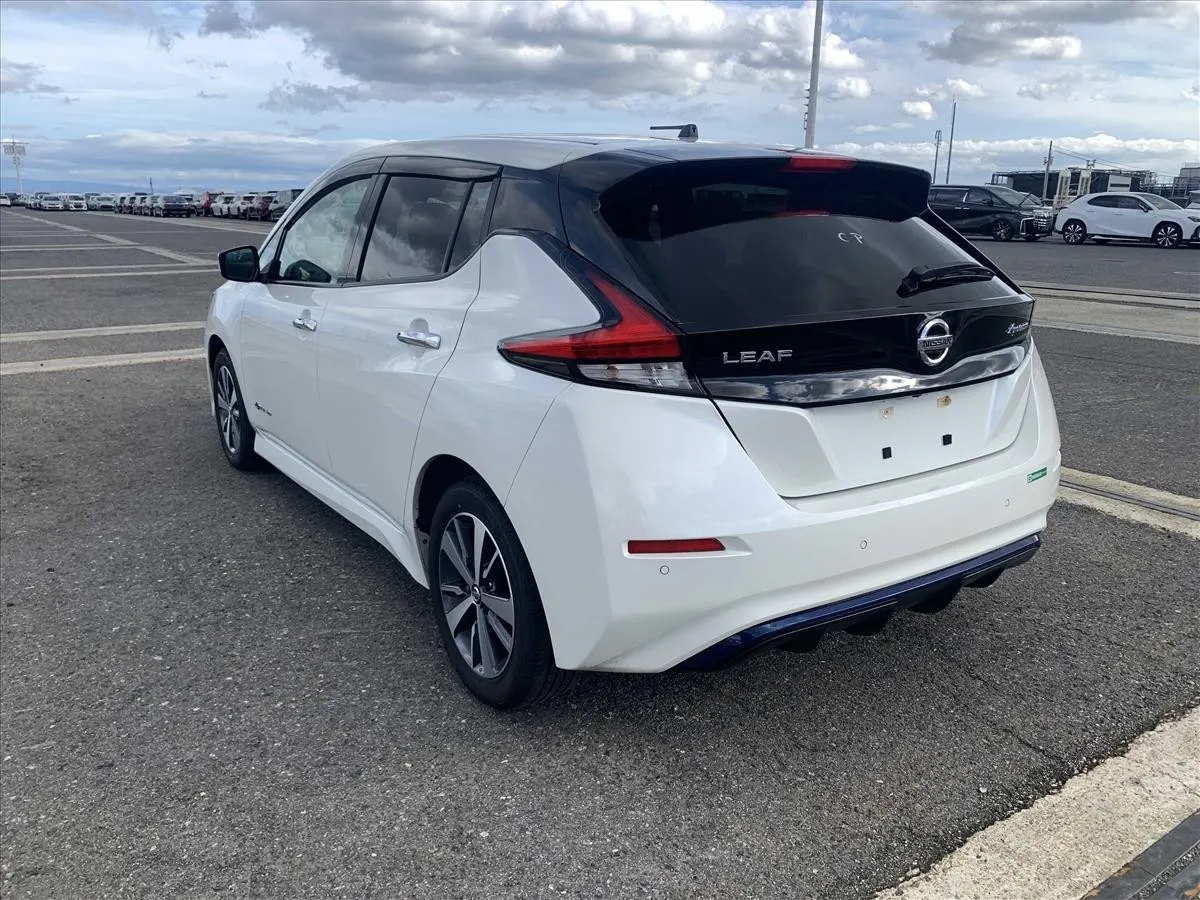 2019 Nissan Leaf X (40kWh) — photo 4